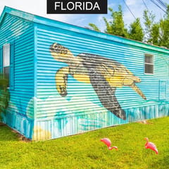 Sea Turtle- Full Sized living at Tiny House Siesta