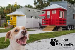 Red Lifeguard Stand - pet freindly