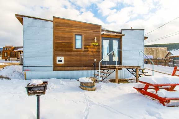 Downtown Leadville - Tiny house dragonfly - Image 1