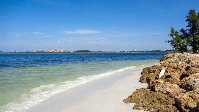 New Vacation Rentals